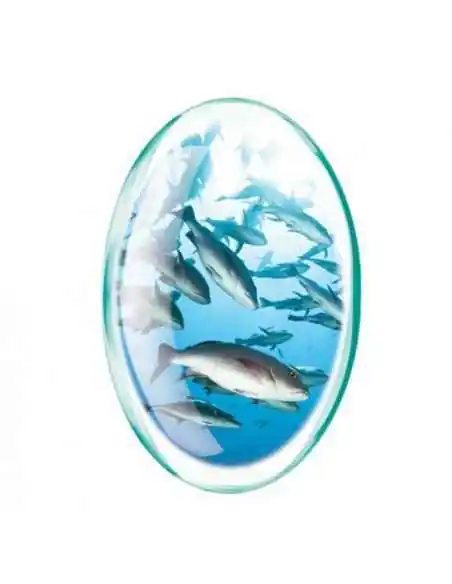 Omega 3 1000mg + Vitamina E 90 capsule Rotta Natura, Sistemul nervos