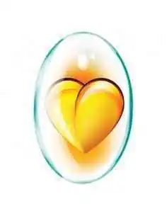 Omega 3-6-9 90 capsule + Coenzima Q10 30 capsule GRATIS Rotta Natura, Sistemul nervos 2