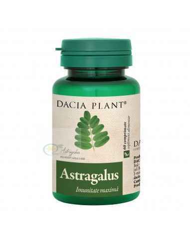 Astragalus 60 cpr Dacia Plant, Stres