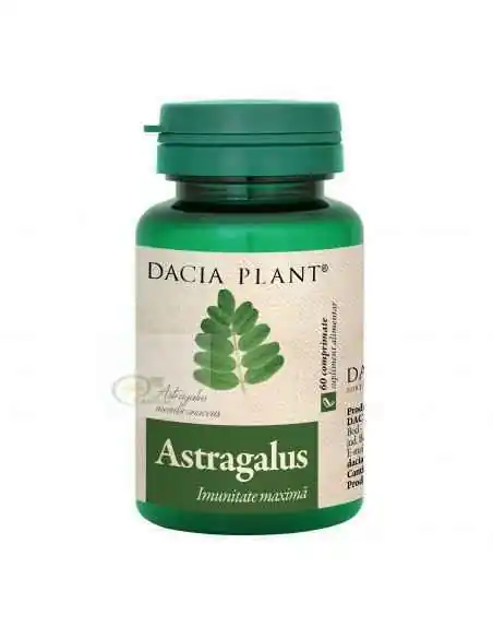 Astragalus 60 cpr Dacia Plant, Stres