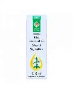 ULEI ESENTIAL DE MENTA-SALBATICA 5ML Steaua Divina, ULEIURI ESENTIALE