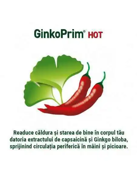 GinkoPrim Hot 30 tablete Walmark, Sistemul nervos