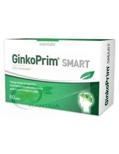 GinkoPrim Smart 60 tablete Walmark, Sistemul nervos