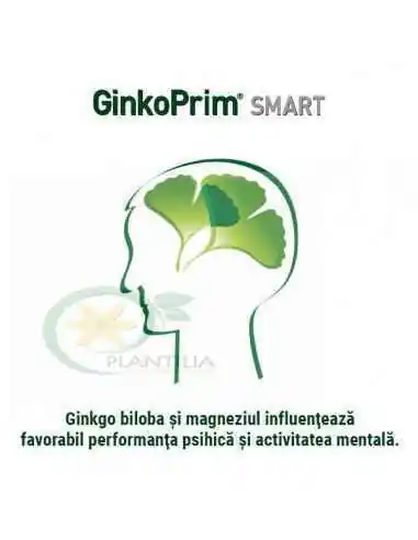 GinkoPrim Smart 60 tablete Walmark, Sistemul nervos