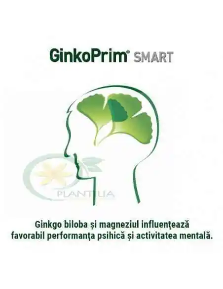 GinkoPrim Smart 60 tablete Walmark, Sistemul nervos