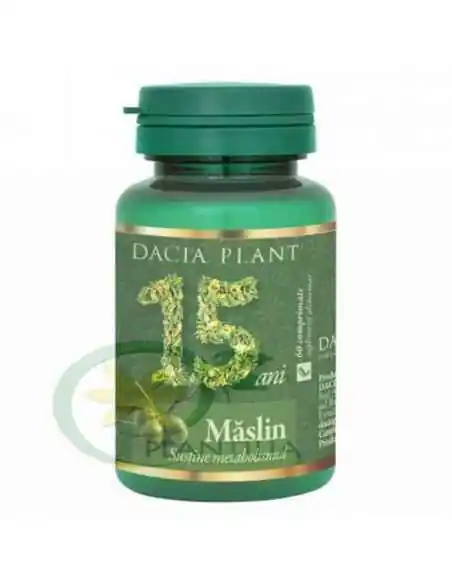 Maslin 60 comprimate Dacia Plant, Terapia Diabetului