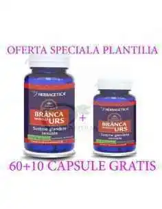 Branca Marelui Urs 60 +60 cps Herbagetica, Stres 2
