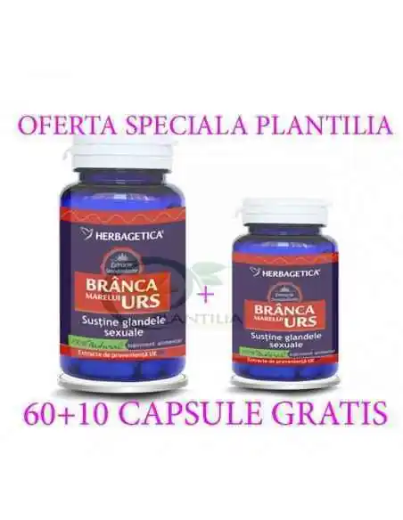 Branca Marelui Urs 60 +60 cps Herbagetica, Stres