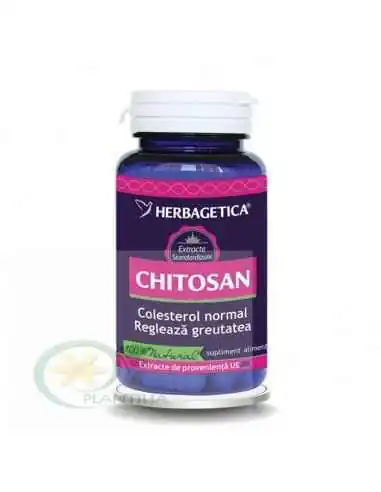 Chitosan 60 capsule Herbagetica, Terapia Diabetului