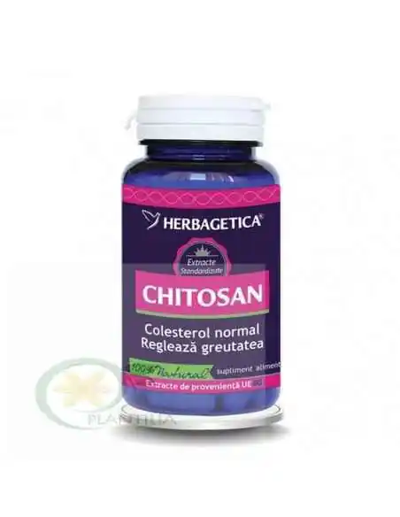 Chitosan 60 capsule Herbagetica, Terapia Diabetului