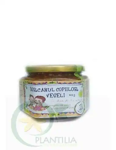 Borcanul copiilor veseli 400g Prisaca Transilvania, Sistemul nervos