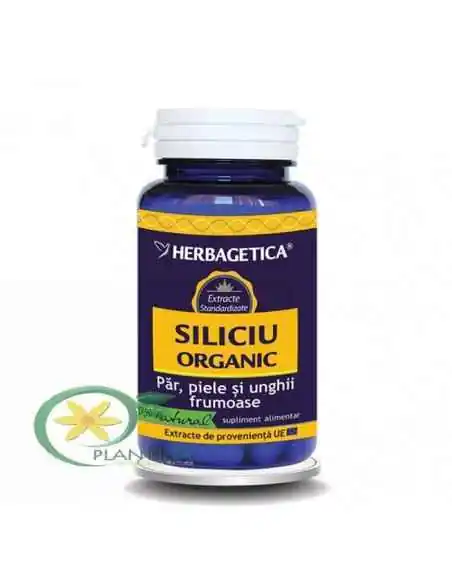 Siliciu Organic 120 capsule Herbagetica, Sanatatea pielii