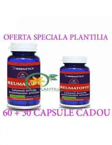 Reumatofit 60 + 60 capsule Herbagetica, REMEDII NATURISTE