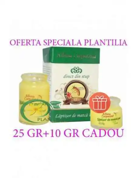 Laptisor de matca pur 25 g + 10 g GRATIS Albina Carpatina, Tulburari Hormonale