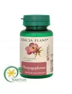 Harpagophytum 60 comprimate Dacia Plant, REMEDII NATURISTE