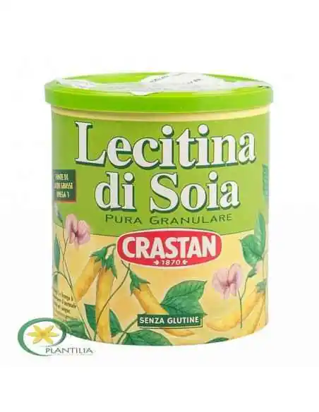 Lecitina Soia 250 g Sano Vita, Sistemul nervos