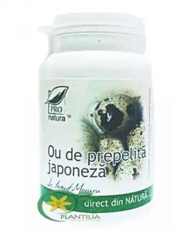 Ou de prepelita japoneza 250 capsule Pro Natura, Stres