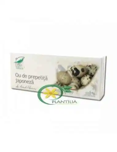 Ou de prepelita japoneza 30 capsule Pro Natura, Stres