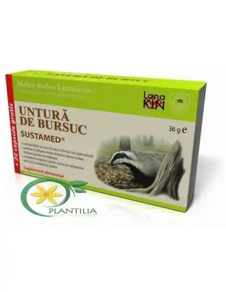Untura de Bursuc capsule, Sistemul nervos