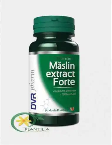 Maslin Extract Forte 60 capsule DVR Pharm, Terapia Diabetului