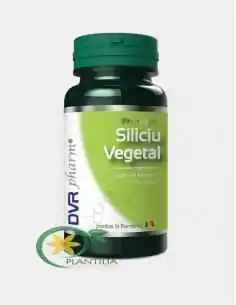 Siliciu Vegetal 60 capsule DVR Pharm, Sanatatea pielii