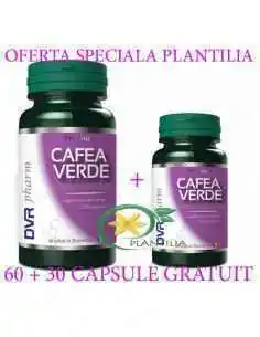 Cafea Verde 60 + 60 capsule DVR PHARM, Terapia Diabetului