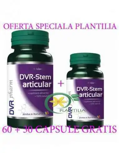 DVR-Stem Articular 60 + 60 capsule DVR Pharm, Sistemul nervos