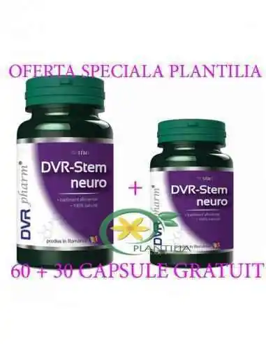 DVR-Stem Neuro 60 + 30 capsule GRATUIT DVR Pharm, Stres