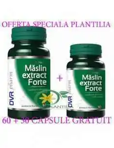 Maslin Extract Forte 60 + 30 capsule GRATUIT DVR Pharm, Terapia Diabetului