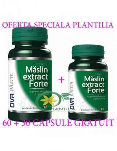 Maslin Extract Forte 60 + 30 capsule GRATUIT DVR Pharm, Terapia Diabetului
