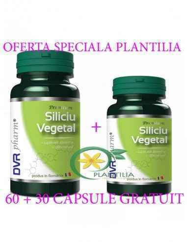 Siliciu Vegetal 60 + 30 capsule GRATUIT DVR Pharm, Sanatatea pielii