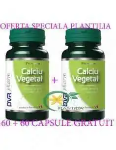 Calciu Vegetal 60 + 30 capsule GRATUIT DVR Pharm, VITAMINE SI MINERALE 2