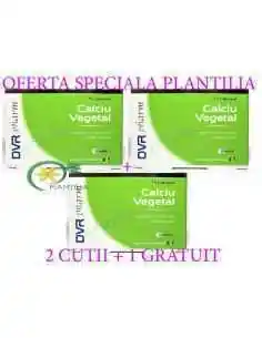 Calciu Vegetal 20 capsule 2 cutii + 1 GRATUIT DVR Pharm, VITAMINE SI MINERALE
