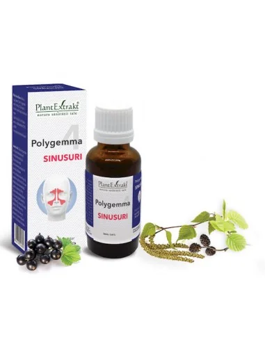 Polygemma 4 Sinusuri 30ml PlantExtrakt