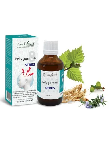 Polygemma 8 Astenie si Memorie 50ml PlantExtrakt