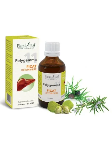 Polygemma 11 Ficat Detoxifiere 50ml PlantExtrakt