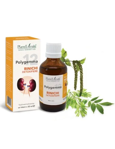 Polygemma 12 Rinichi Detoxifiere 50ml PlantExtrakt