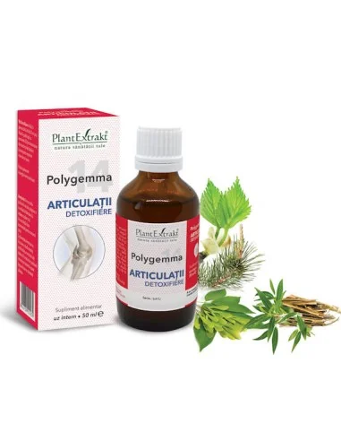 Polygemma 14 Articulaţii Detoxifiere 50ml PlantExtrakt