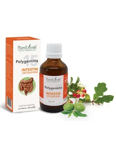 Polygemma 15 Intestin Detoxifiere 50ml PlantExtrakt