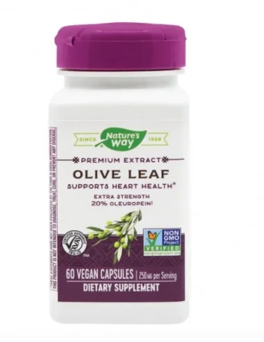 OLIVE LEAF 60CPS - Secom