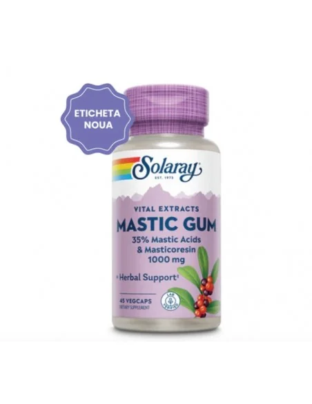 MASTIC GUM 45CPS - Secom