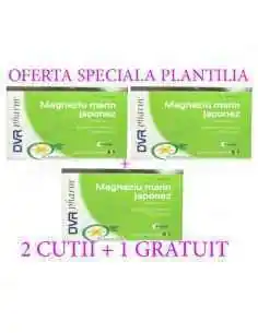 Magneziu Marin Japonez 20 capsule 2 cutii + 1 GRATUIT DVR Pharm, VITAMINE SI MINERALE