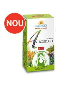 ANTIOXIDANT 60 capsule Fares 2