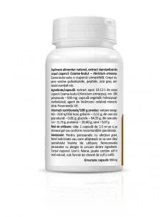 Lion’s Mane 60 capsule Zenyth 2