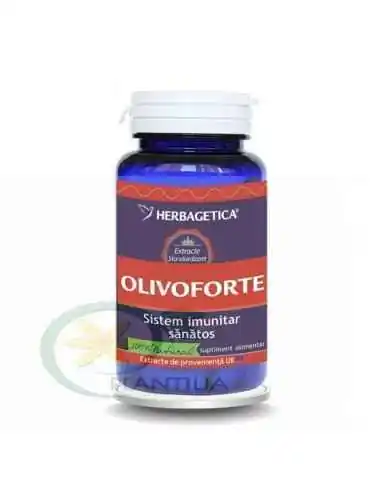 Olivo Forte 60 capsule Herbagetica, Terapia Diabetului