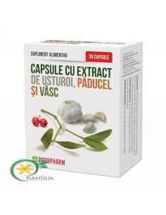 Capsule Cu Extract De Usturoi Paducel Si Vasc 30 Cps Parapharm