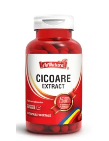 Cicoare extract 30 cps AdNatura