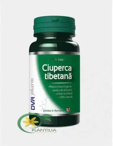 Ciuperca Tibetana 60 cps DVR Pharm, VITAMINE SI MINERALE