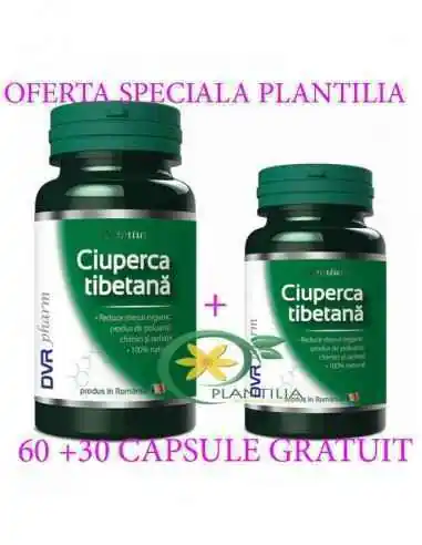 Ciuperca Tibetana 60 + 30 cps GRATUIT DVR Pharm, VITAMINE SI MINERALE