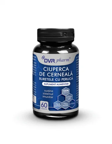 Ciuperca de cerneala – Buretele cu peruca 60 cps DVR Pharm